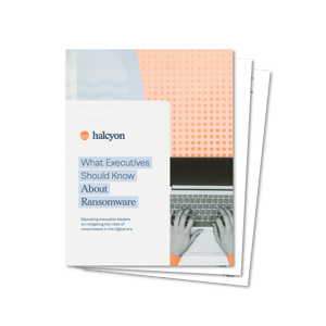Halcyon What Execs Should Know About Ransomware - Icon