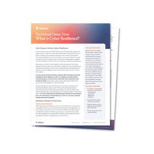 Halcyon What is Cyber Resilience DS - Icon