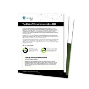 The State of Network Automation 2025 - Icon